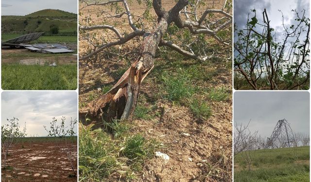 Gaziantep Kent Konseyi'nden afet sonrası çiftçilere destek çağrısı