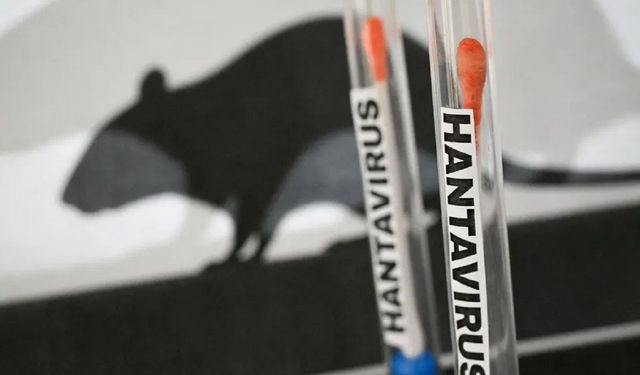 Hantavirüs bir salgına dönüşür mü?