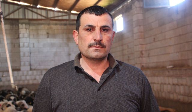 Kiraz: Yem ve saman maliyetleri kurbanlık fiyatlarını doğrudan etkiliyor