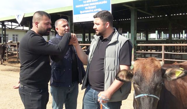 Kurban Bayramı yaklaştı, hayvan pazarlarında renkli görüntüler oluştu