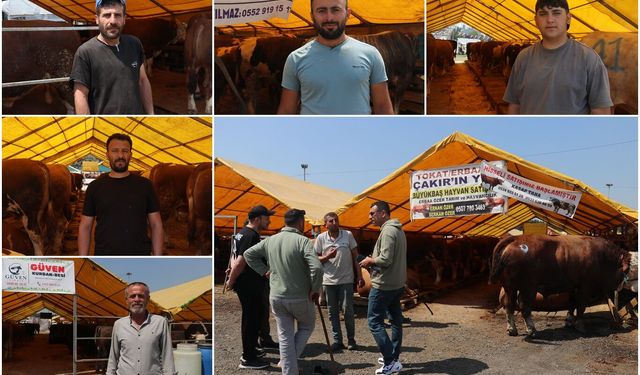 Kurbanlık pazarında hareketlilik: Her bütçeye uygun hayvan var