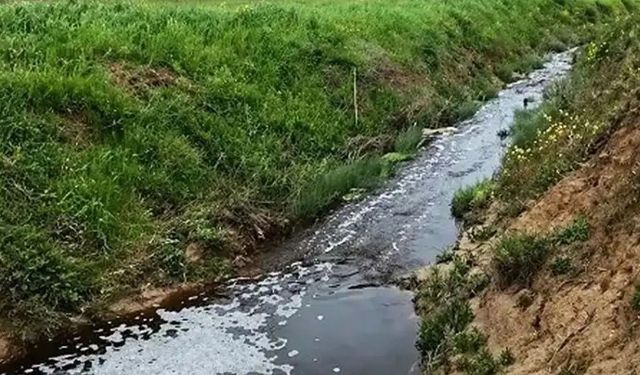 Sinop'taki katı atık tesisine 1,6 milyon lira ceza uygulandı