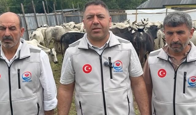 Yetimler Vakfı Nijerya'da kurban eti dağıttı