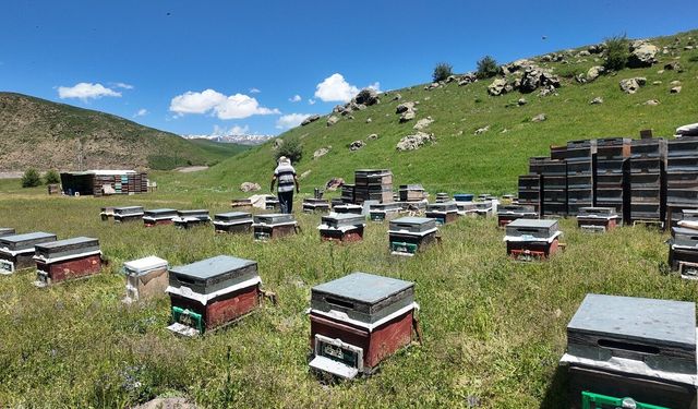 Arıcılar bal üretimi sezonuna geç başladı