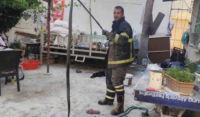 Batman'da 2 metre uzunluğunda yılan yakalanarak doğaya bırakıldı