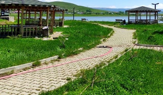 Bingöl'de çevreyi kirletenlere cezai işlem uygulanacak