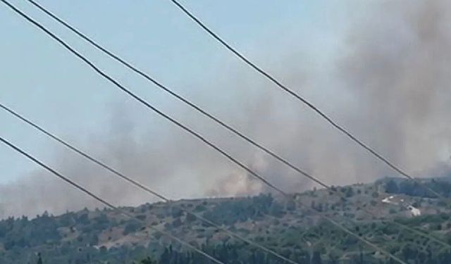 Çöplükte çıkan yangın makilik alana sıçradı