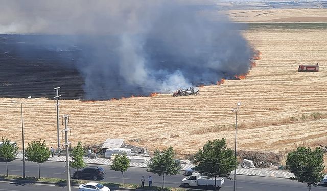 Diyarbakır'da anız yangını: Toplanmamış mahsule ulaşması an meselesi