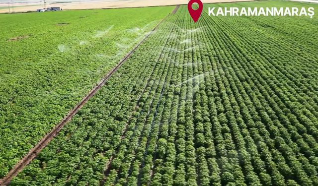 Kahramanmaraş'ta sulama altyapısına 4 milyar liralık yatırım