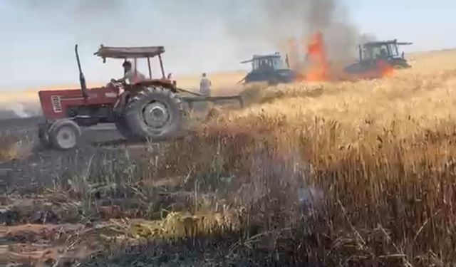 Mardin'de 500 dönümlük ekili arazide yangın