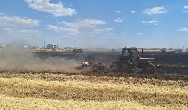 Mardin'de yaklaşık 80 dönüm buğday ekili alan kül oldu