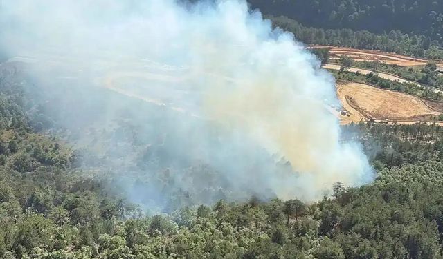 Muğla'da orman yangını: Havadan ve karadan müdahale sürüyor