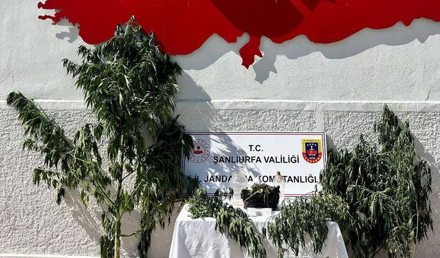 Şanlıurfa'da uyuşturucu operasyonu