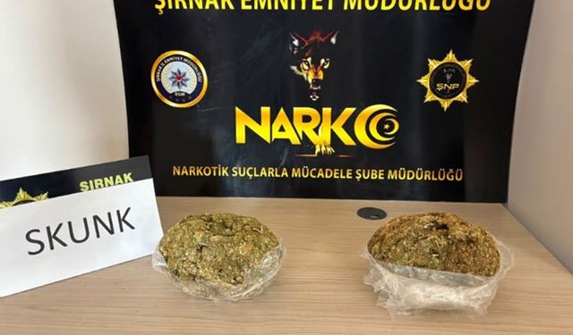 Şırnak'ta asayiş operasyonlarında 37 tutuklama