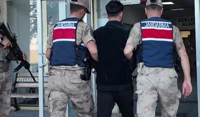 Şırnak'ta jandarmadan asayiş operasyonları: 149 gözaltı