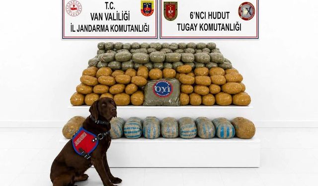 Van'da 291 kilo toz esrar ele geçirildi: Bir tutuklama