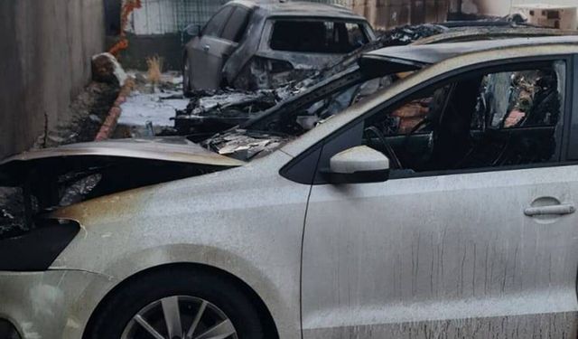 Batman'da park halindeki 3 araç alevlere teslim oldu