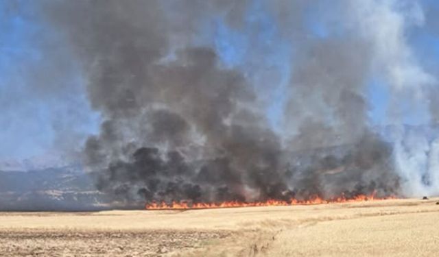 Bingöl'de arazi yangını