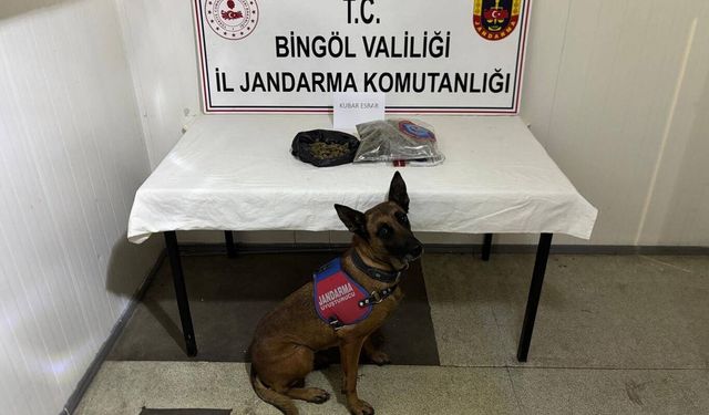 Bingöl'de kesinleşmiş hapis cezası bulunan 4 firari yakalandı