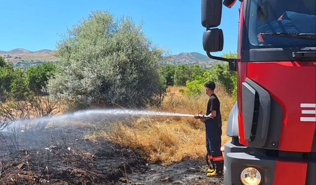 Bingöl'de yangın ormana sıçramadan söndürüldü