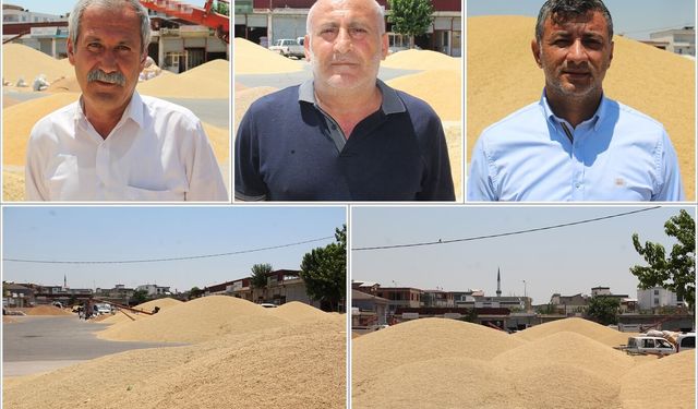 Buğday piyasası kilitlendi: Üretici ve tüccardan TMO'ya 'ÇKS' çağrısı