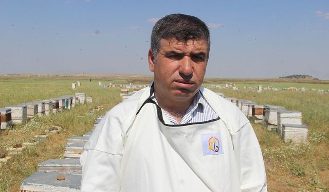 İdil'de 53 arıcı, 65 milyon arı ile bal üretiyor