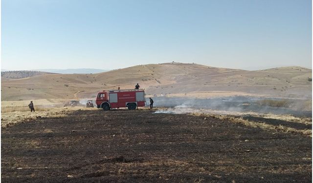 Malatya'da ekin alanında korkutan yangın