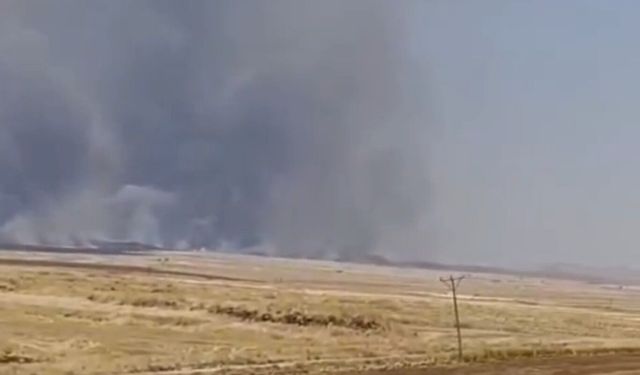 Mardin'de arpa ekili tarlada yangın: Yaklaşık 10 dönüm alan yandı