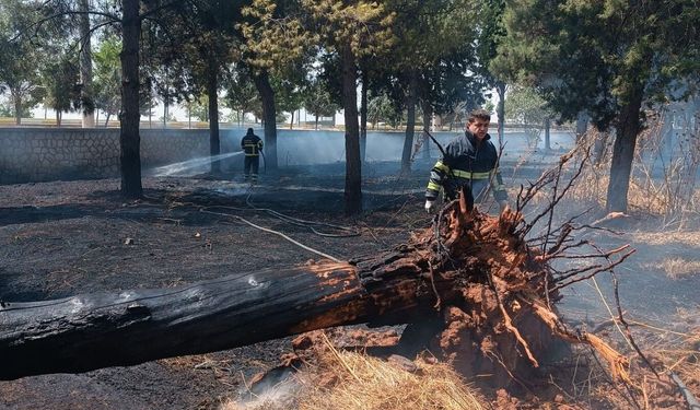 Mardin'de çıkan örtü yangını ekiplerce söndürüldü