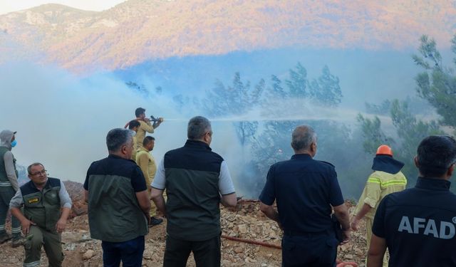 Mersin Valisi Toros yangın bölgesinde incelemelerde bulundu