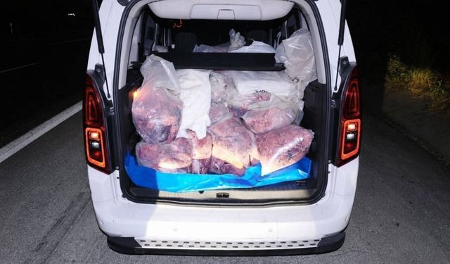 Mersin'de 877 Kilogram sağlıksız sakatat ele geçirildi
