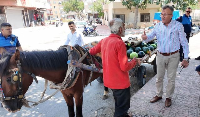 Mersin'de karpuz yüklü arabayı çekerken bitkin düşen at koruma altına alındı