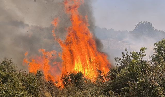 Mersin'de orman yangınına havadan ve karadan müdahale sürüyor