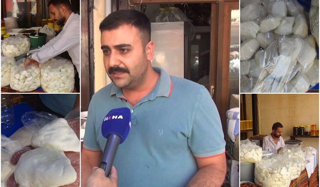 Peynirci Çelik: Doğru salamura edilen peynir bir yıl tazeliğini korur