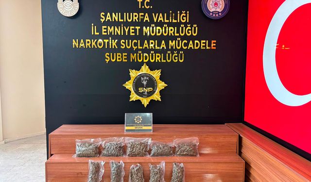 Şanlıurfa'da 2 kilo 600 gram skunk ele geçirildi: Bir tutuklama