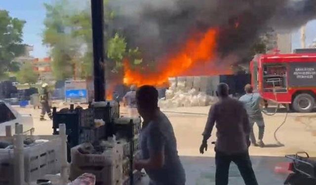 Şanlıurfa'da hal pazarında yangın