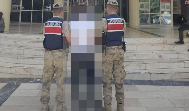 Şanlıurfa'da hapis cezasıyla aranan hükümlü yakalandı