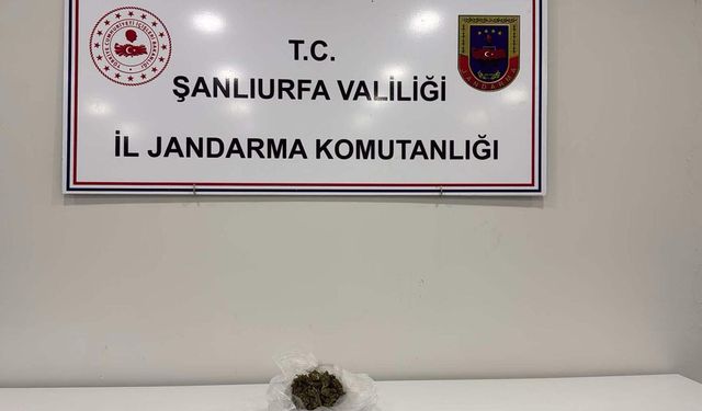 Şanlıurfa'da uyuşturucu operasyonu: Bir gözaltı