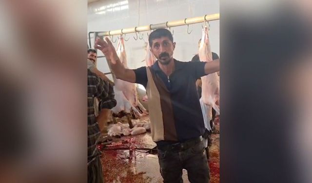 Silopi'deki kesimhanede su, elektrik ve temizlik krizi