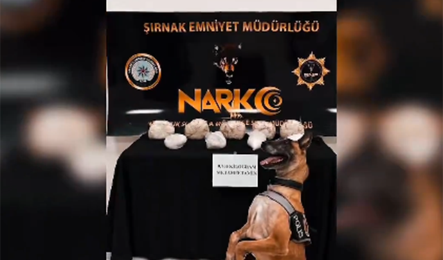 Şırnak'ta 9 kilo 700 gram metamfetamin ele geçirildi
