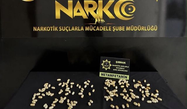 Şırnak'ta midelerinde uyuşturucu kapsülleri bulunan 2 kişi tutuklandı