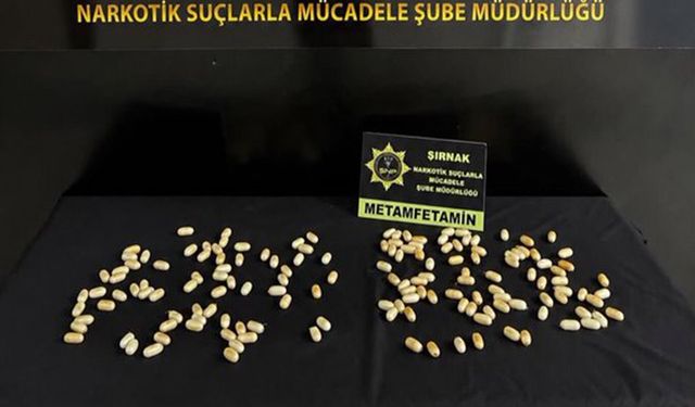 Şırnak'ta midelerinde uyuşturucu taşıyan 2 İranlı yakalandı