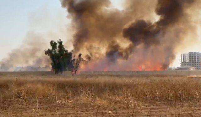 Suriye'de çıkan anız yangını Nusaybin sınırına sıçradı
