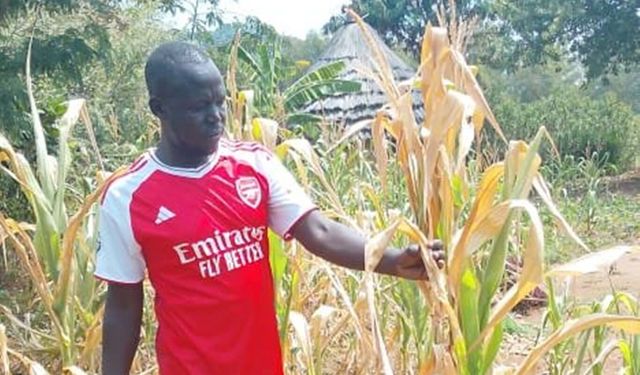 Uganda'da kıtlık: 16 ölü