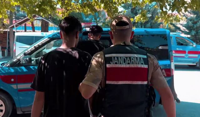 Van'da 800 küçükbaş hayvanın yağmalanmasına ilişkin 4 şüpheli yakalandı