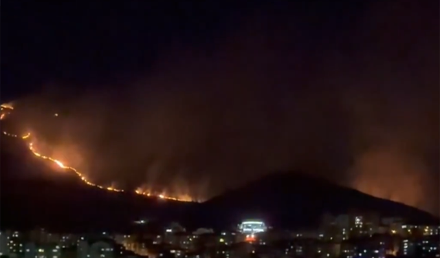 Ankara'nın Mamak ilçesinde ağaçlık alanda yangın