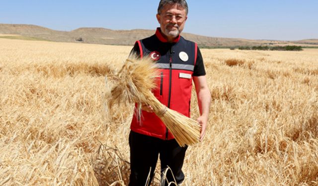 Bakan Yumaklı: TMO üreticilere 120 milyar lira ödeme yaptı