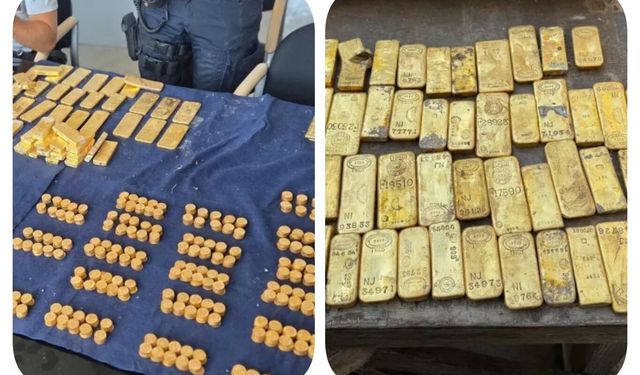 Belçika'da 18 yaşındaki öğrenci 10,5 milyon dolarlık altın buldu
