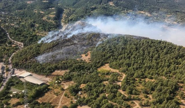 Bursa'da 3 ayrı noktada çıkan orman yangınları kontrol altına alındı