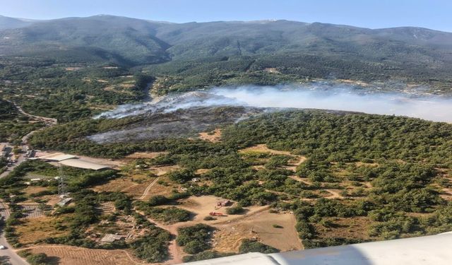 Bursa'da 3 ayrı noktada orman yangını